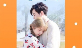 真人漫画免费,揭开现实与虚构的神秘面纱